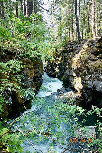 北加州第六天024-DSC00502.jpeg 北加州第六天024-DSC00502.jpeg