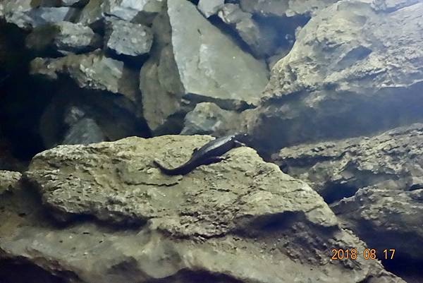 北加州第五天038-DSC00421.jpeg 北加州第五天038-DSC00421.jpeg