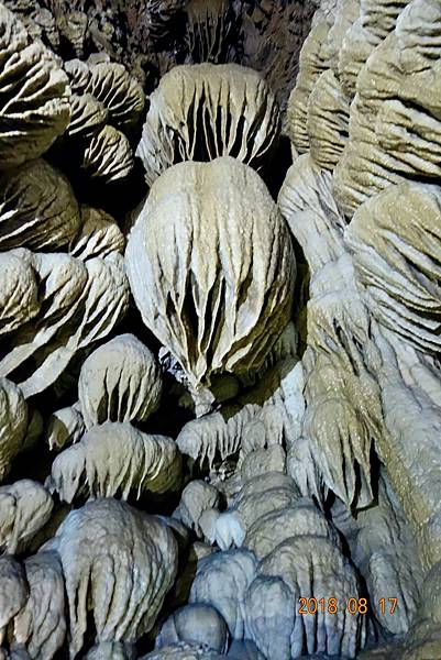 北加州第五天049-DSC00445.jpeg 北加州第五天049-DSC00445.jpeg