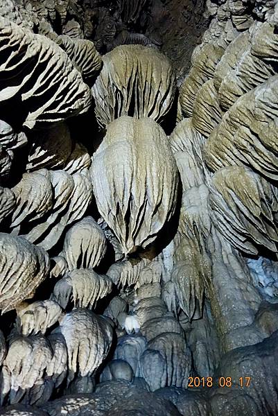 北加州第五天048-DSC00443.jpeg 北加州第五天048-DSC00443.jpeg