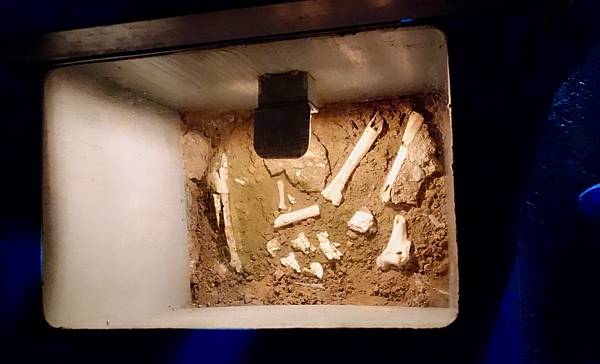 北加州第五天050-DSC00447.jpeg 北加州第五天050-DSC00447.jpeg