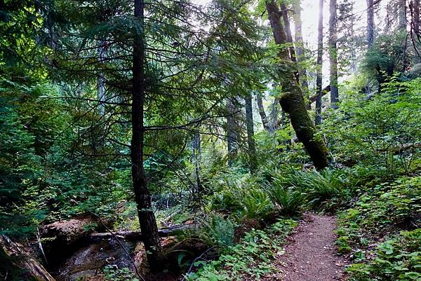 北加州第五天062-DSC00461.jpeg 北加州第五天062-DSC00461.jpeg