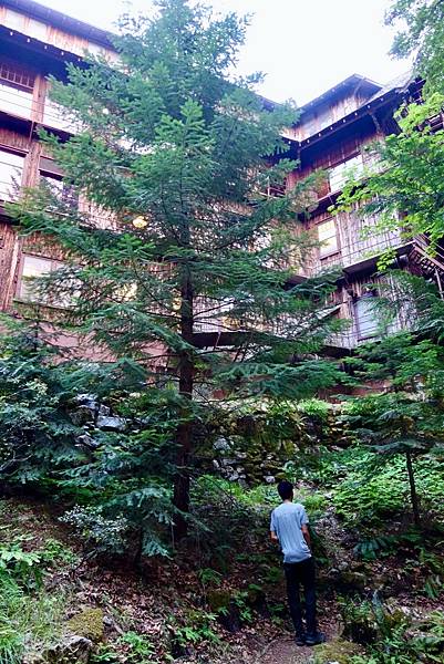 北加州第五天064-DSC00463.jpeg 北加州第五天064-DSC00463.jpeg