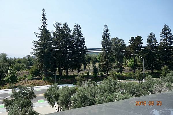 北加州第十天006-DSC00899.jpeg 北加州第十天006-DSC00899.jpeg