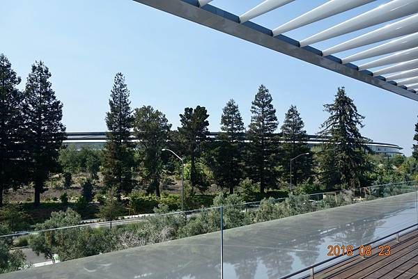 北加州第十天013-DSC00898.jpeg 北加州第十天013-DSC00898.jpeg