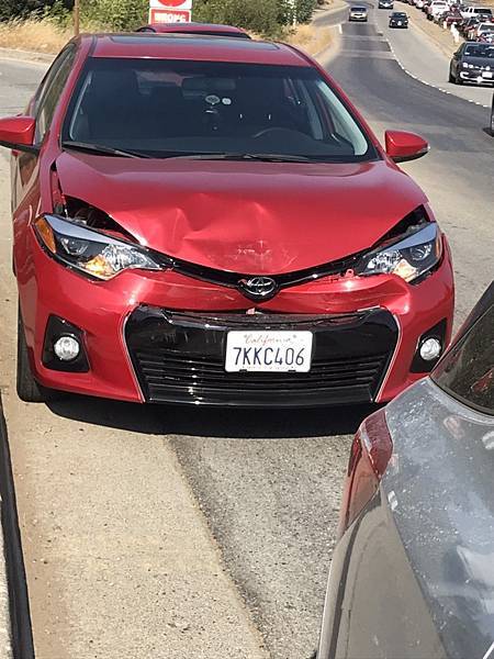 S__43352077.jpg S__43352077.jpg