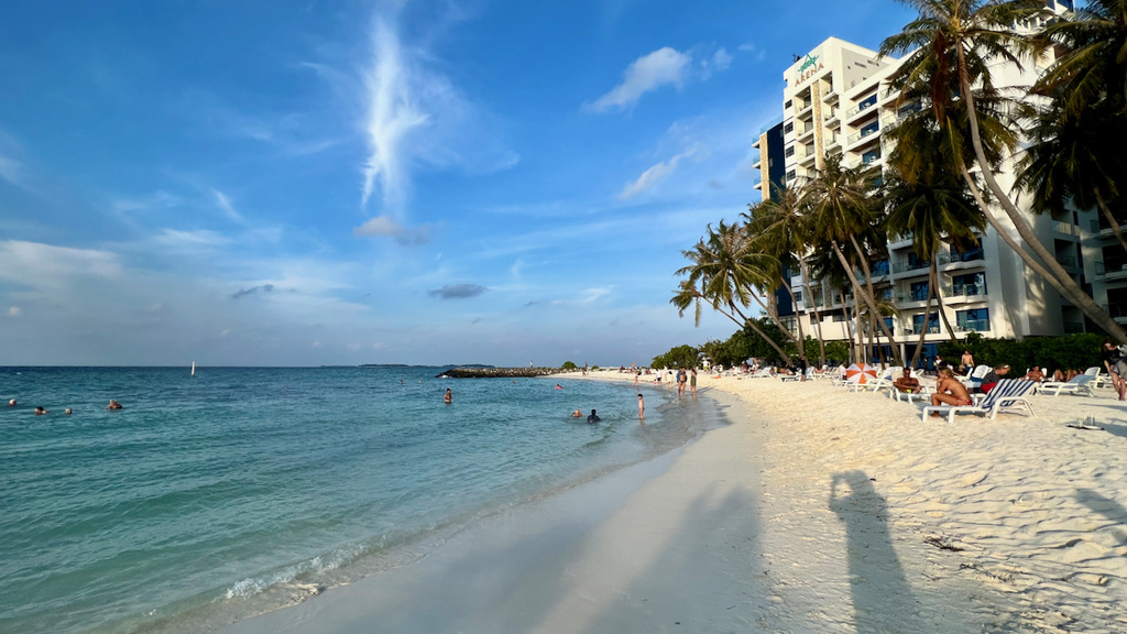 IMG_0098.jpeg IMG_0098.jpeg