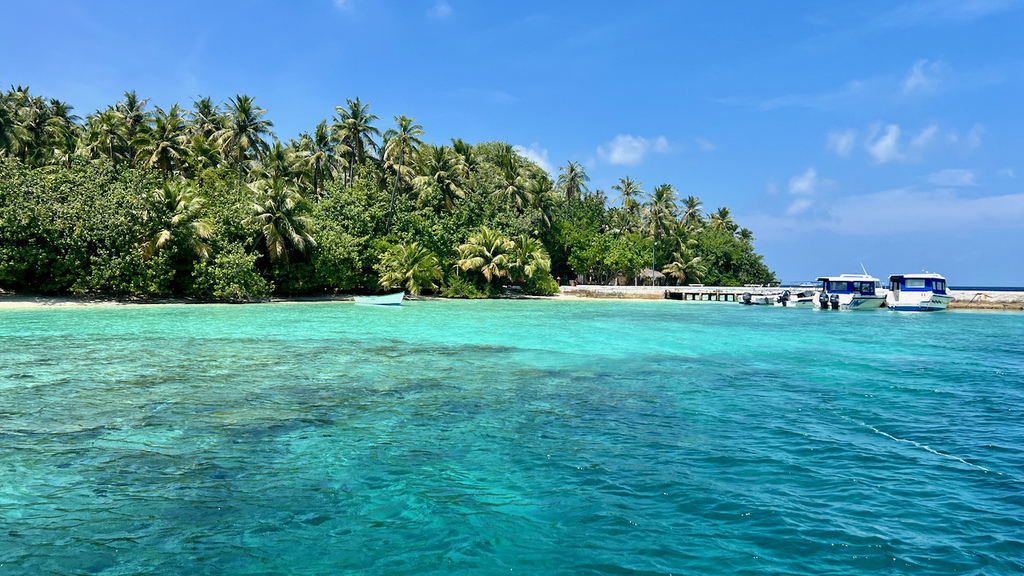 IMG_0168.jpeg IMG_0168.jpeg