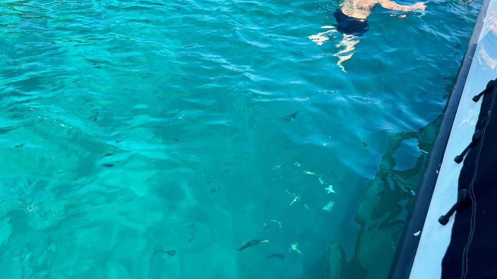 IMG_0172.jpeg IMG_0172.jpeg