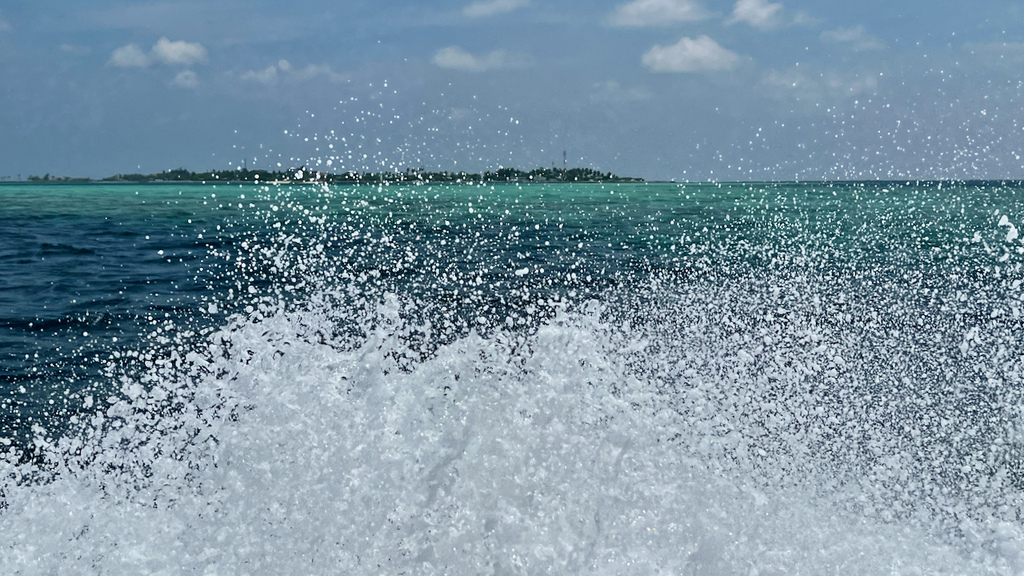 IMG_0178.jpeg IMG_0178.jpeg