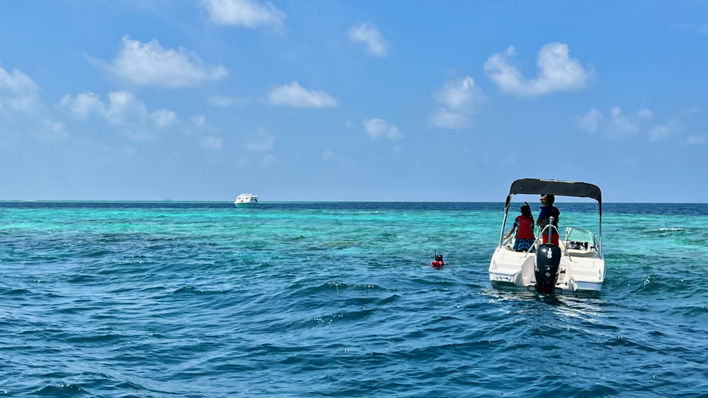 IMG_0180.jpeg IMG_0180.jpeg