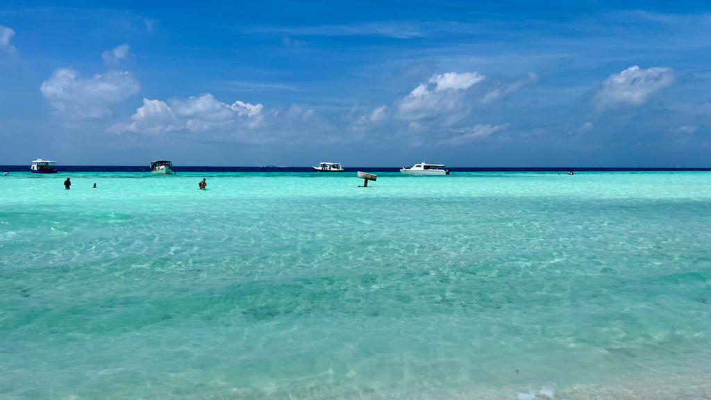 IMG_0211.jpeg IMG_0211.jpeg