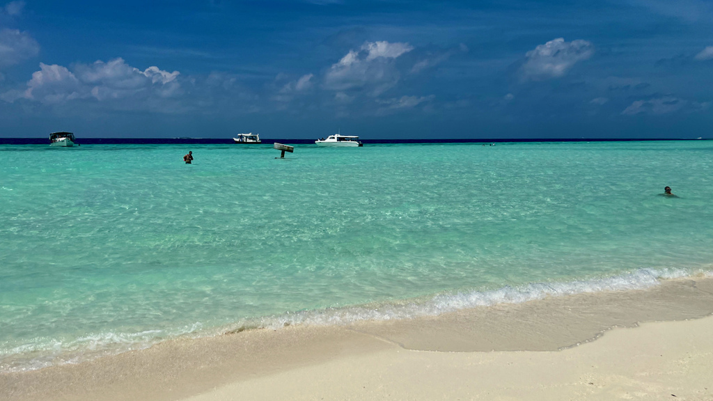 IMG_0212.jpeg IMG_0212.jpeg