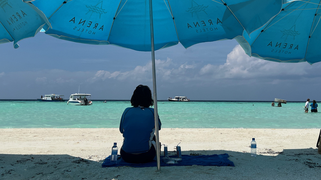 IMG_0258.jpeg IMG_0258.jpeg