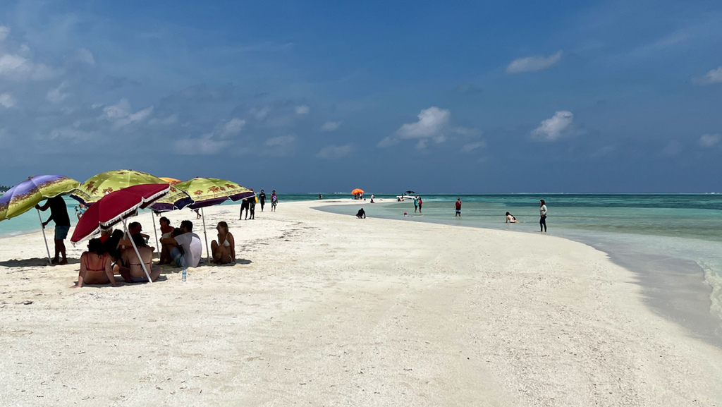 IMG_0259.jpeg IMG_0259.jpeg