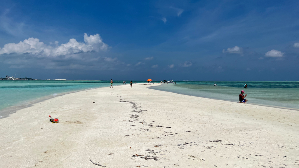 IMG_0261.jpeg IMG_0261.jpeg