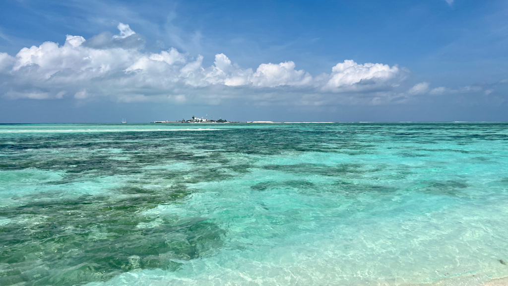 IMG_0276.jpeg IMG_0276.jpeg