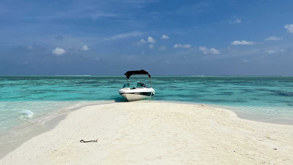 IMG_0277.jpeg IMG_0277.jpeg