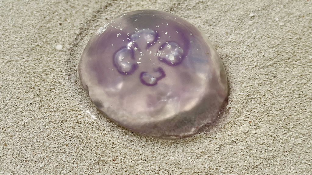 IMG_0296.jpeg IMG_0296.jpeg