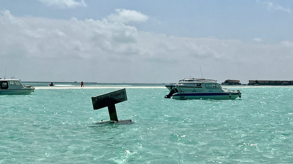 IMG_0305.jpeg IMG_0305.jpeg