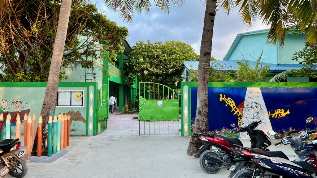 IMG_0311.jpeg IMG_0311.jpeg