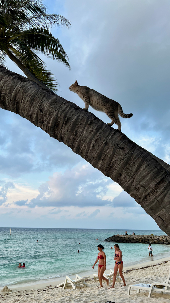 IMG_0315.jpeg IMG_0315.jpeg