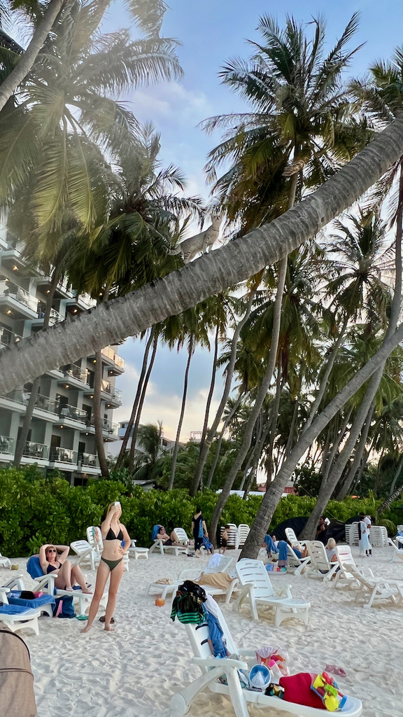 IMG_0317.jpeg IMG_0317.jpeg