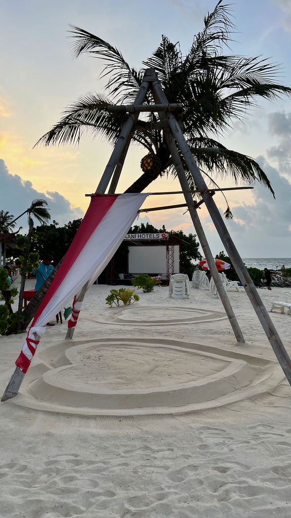 IMG_0323.jpeg IMG_0323.jpeg