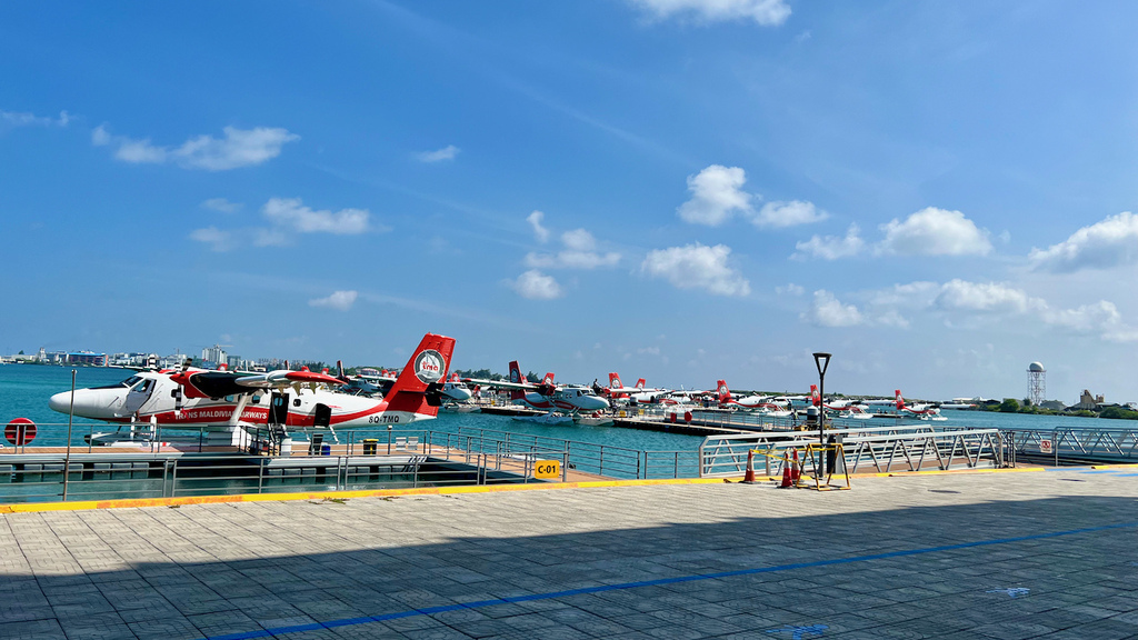 IMG_0362.jpeg IMG_0362.jpeg