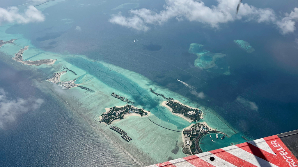 IMG_0389.jpeg IMG_0389.jpeg