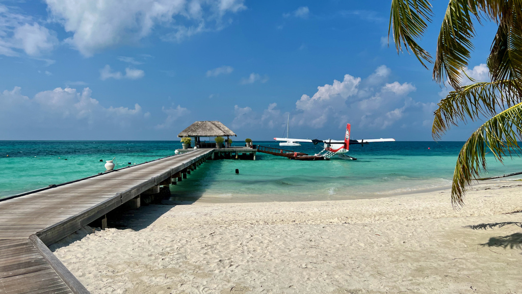 IMG_0500.jpeg IMG_0500.jpeg