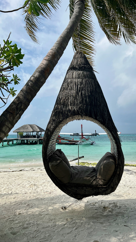 IMG_0510.jpeg IMG_0510.jpeg