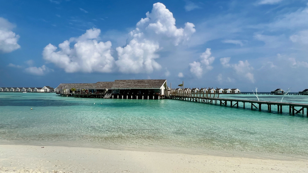 IMG_0529.jpeg IMG_0529.jpeg