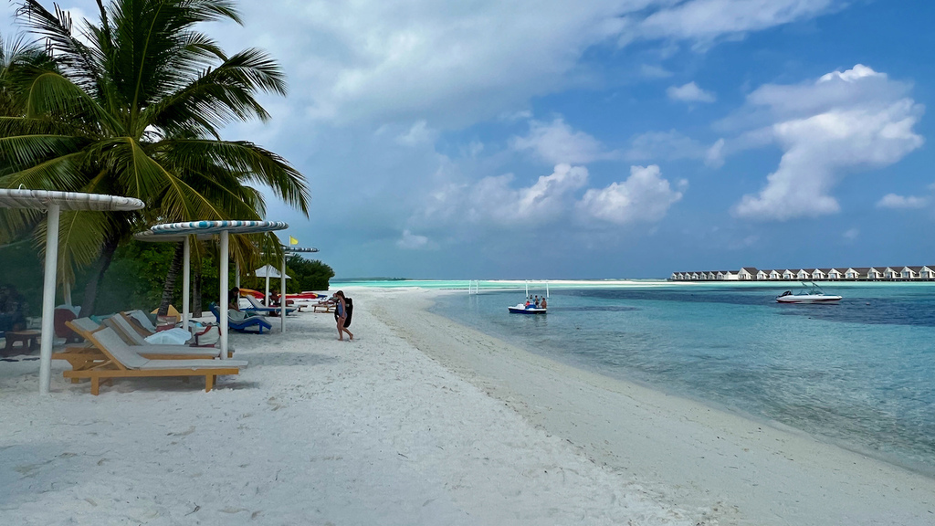 IMG_0530.jpeg IMG_0530.jpeg