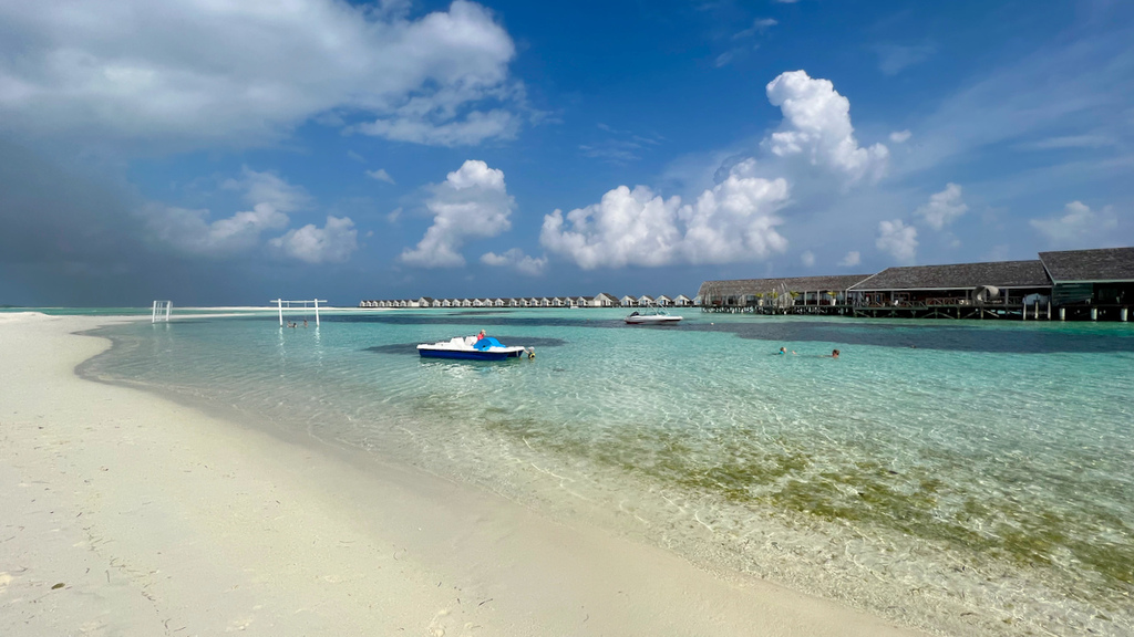 IMG_0535.jpeg IMG_0535.jpeg