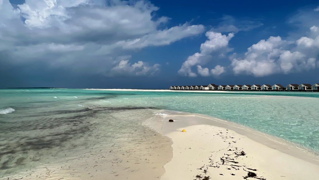 IMG_0547.jpeg IMG_0547.jpeg