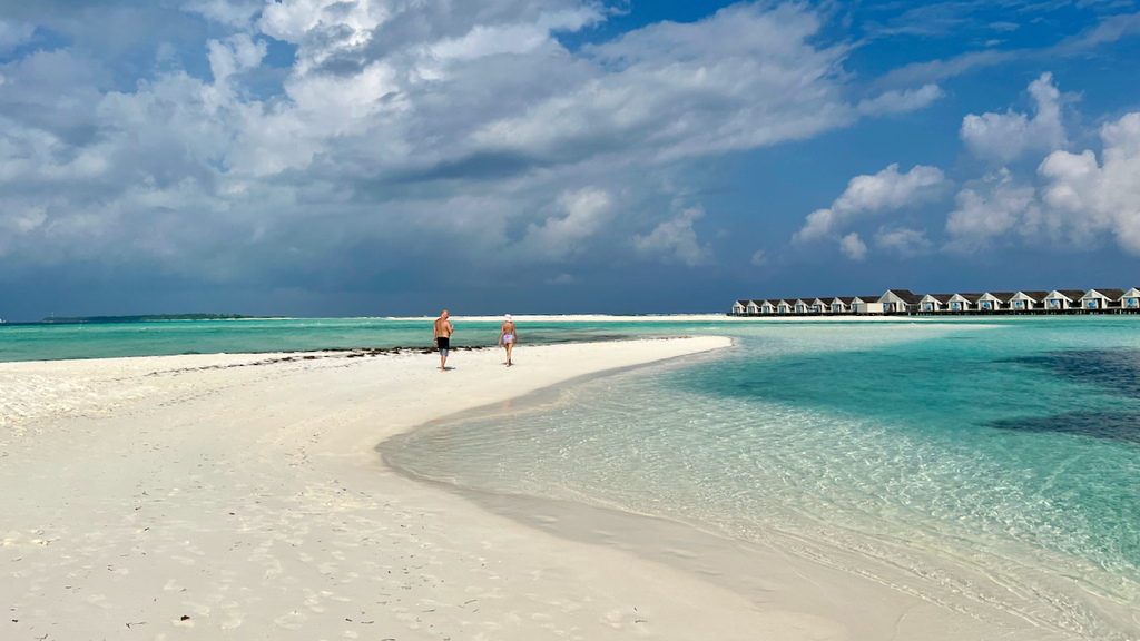 IMG_0559.jpeg IMG_0559.jpeg