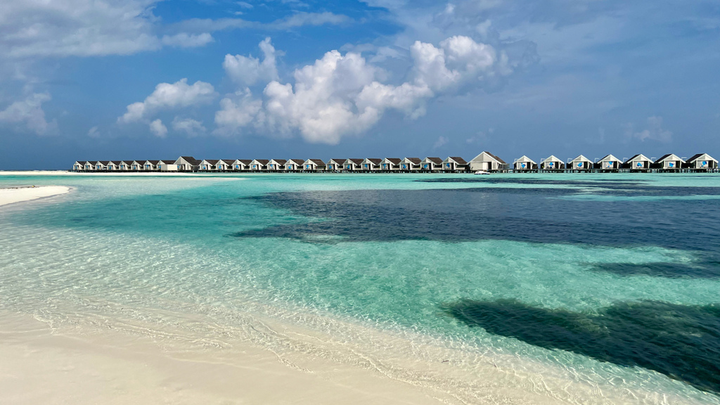 IMG_0563.jpeg IMG_0563.jpeg