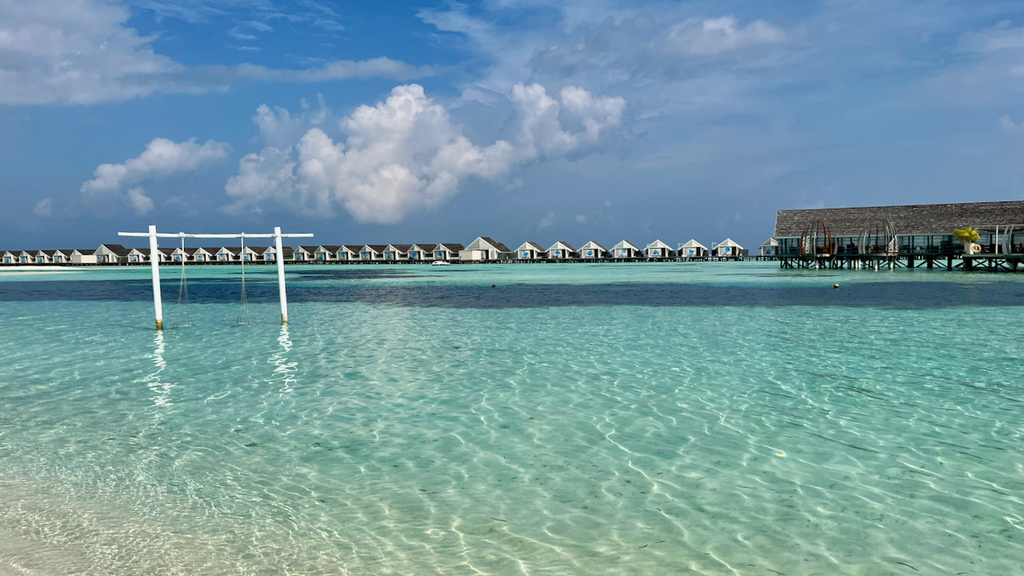 IMG_0568.jpeg IMG_0568.jpeg