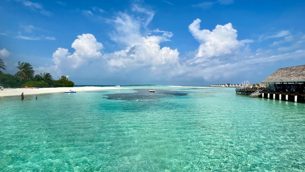 IMG_0583.jpeg IMG_0583.jpeg