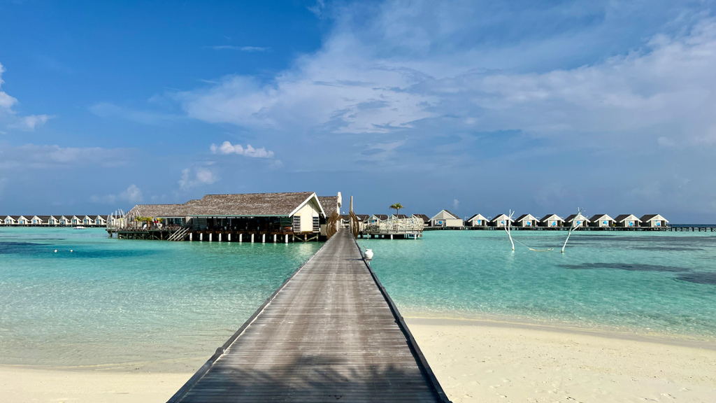 IMG_0596.jpeg IMG_0596.jpeg