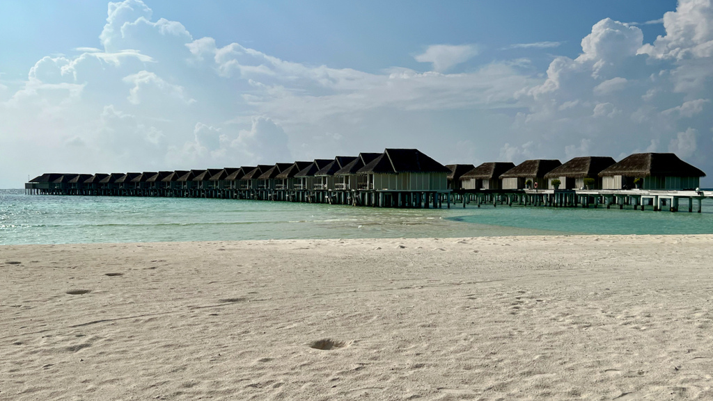 IMG_0622.jpeg IMG_0622.jpeg