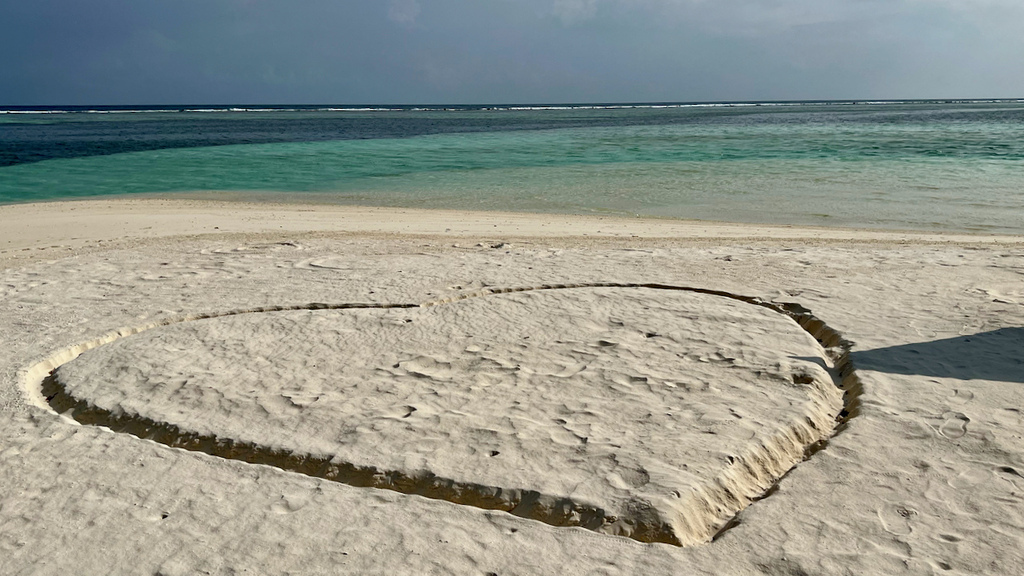 IMG_0623.jpeg IMG_0623.jpeg