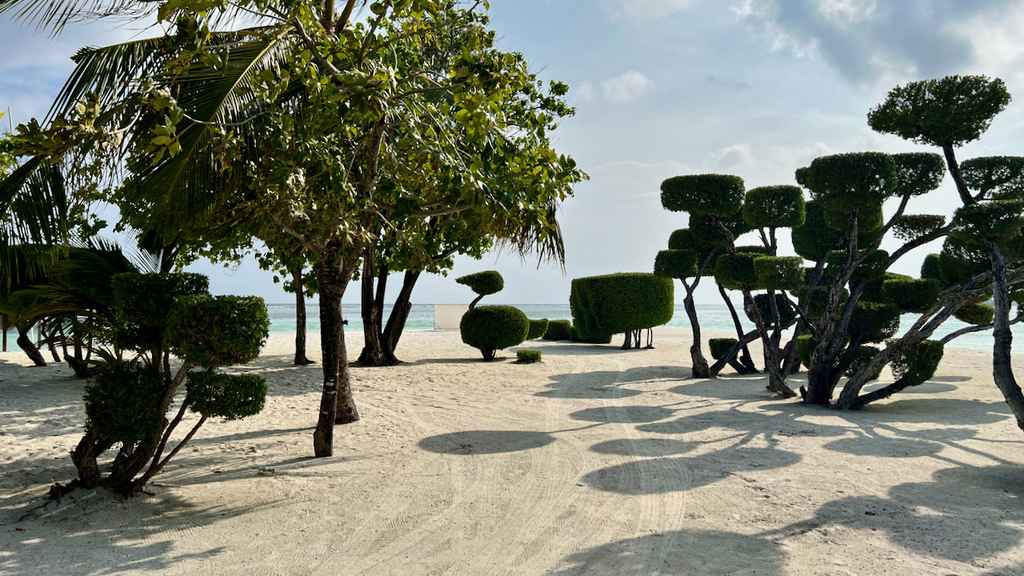 IMG_0646.jpeg IMG_0646.jpeg