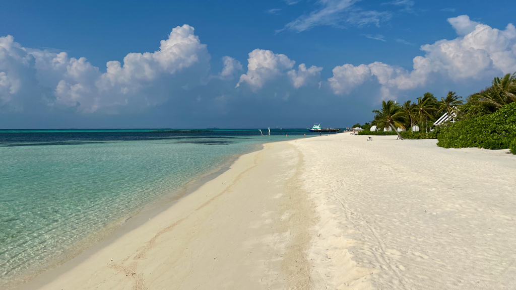 IMG_0652.jpeg IMG_0652.jpeg