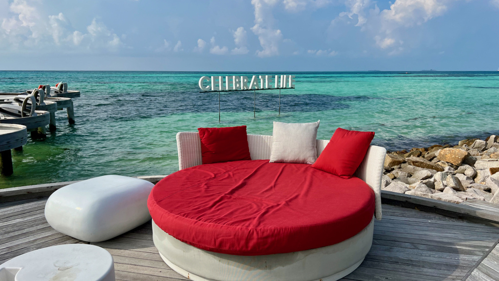 IMG_0666.jpeg IMG_0666.jpeg