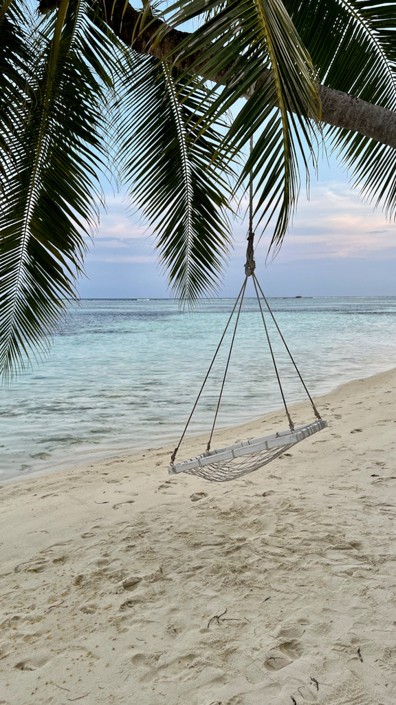 IMG_0687.jpeg IMG_0687.jpeg