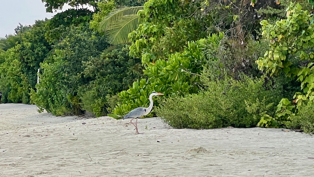 IMG_0688.jpeg IMG_0688.jpeg