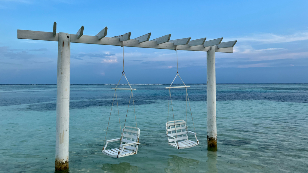 IMG_0698.jpeg IMG_0698.jpeg