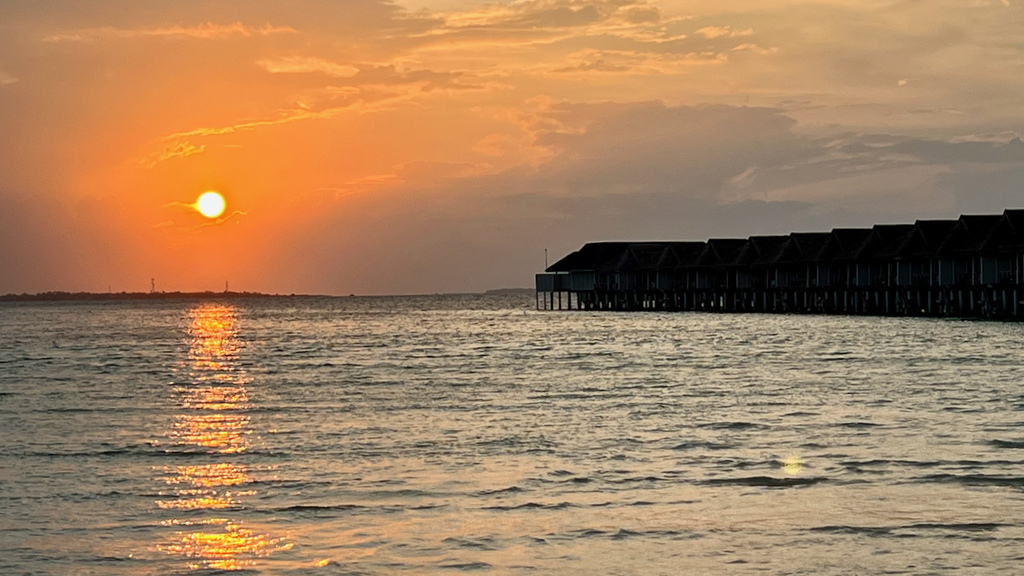 IMG_0709.jpeg IMG_0709.jpeg